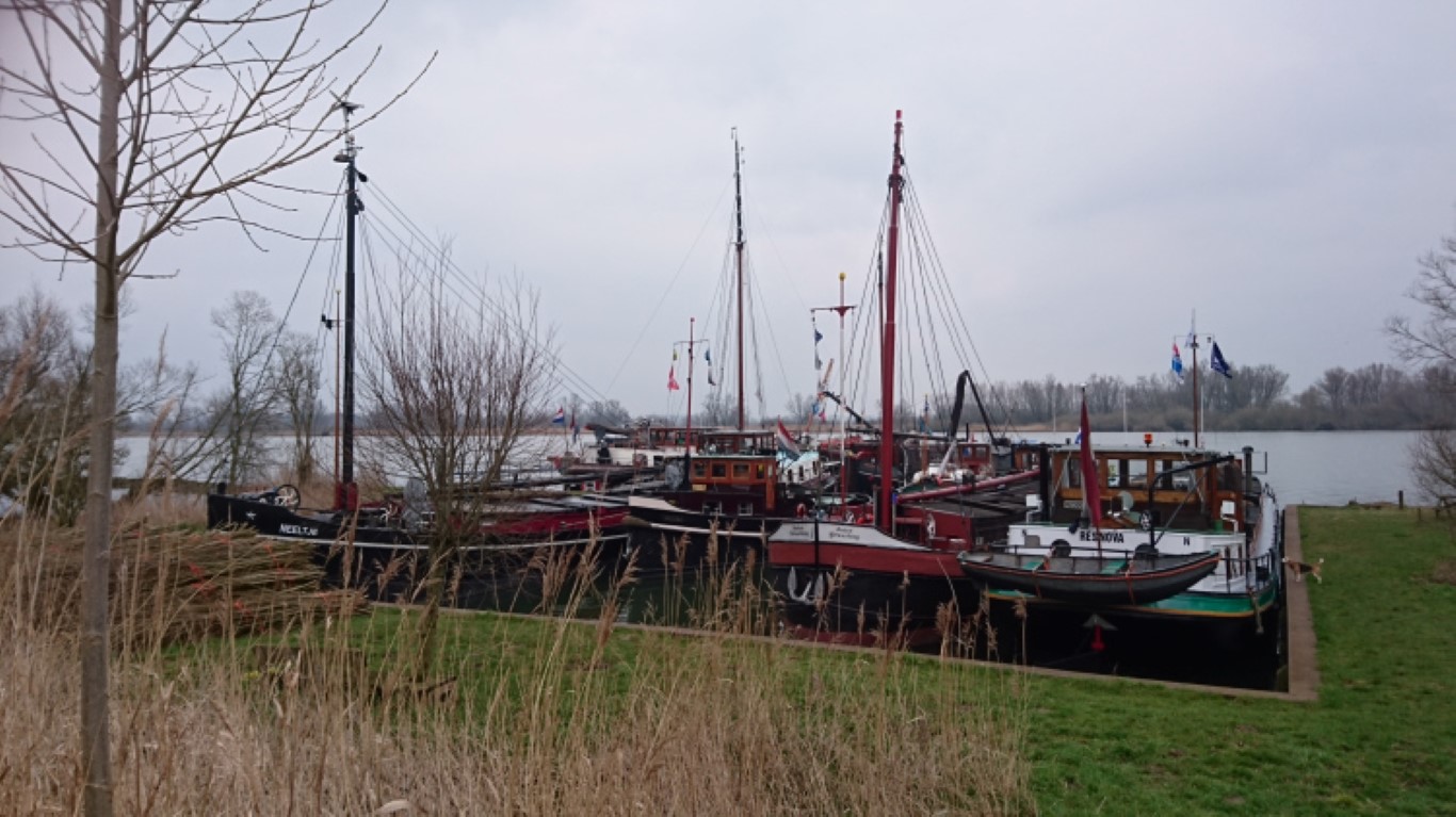 Historische schepen in de Biesbosch