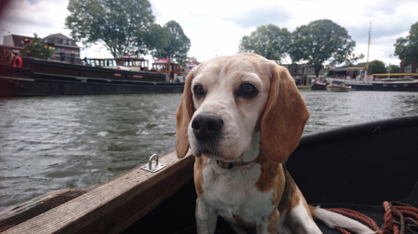 Cleo in de bijboot