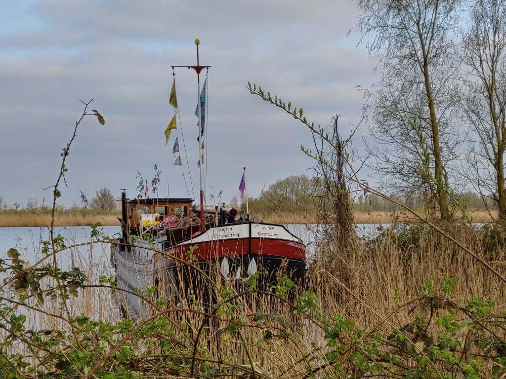 Voor spud liggen in de Biesbosch