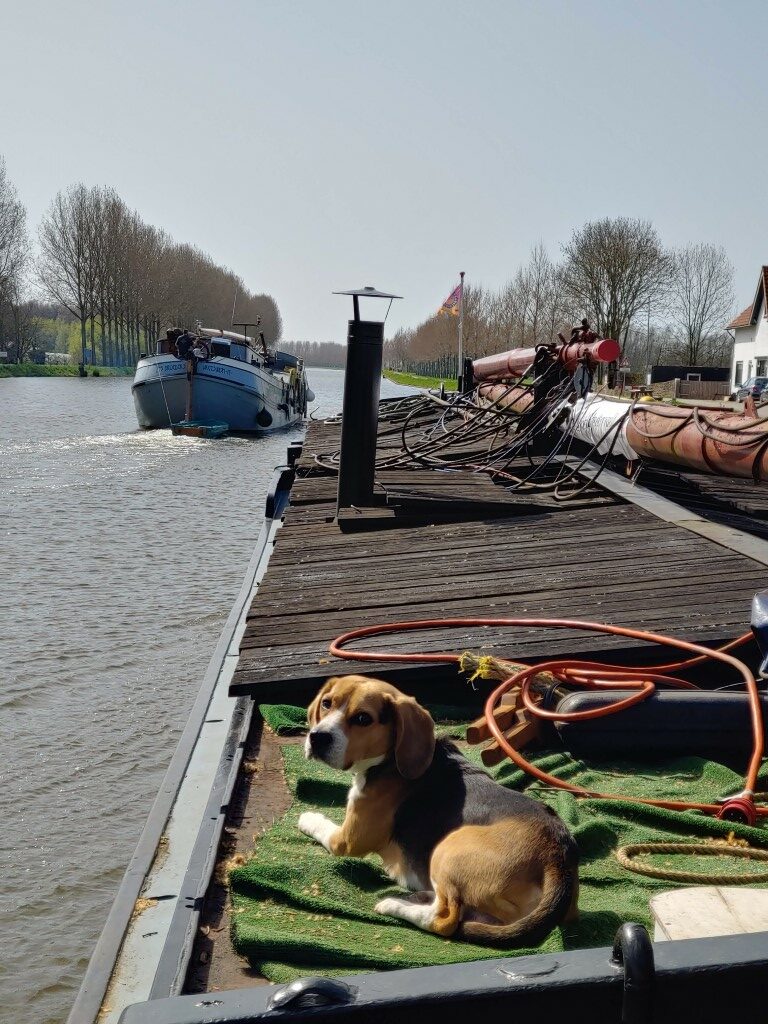 Varen van Vreeswijk naar de Biesbosch